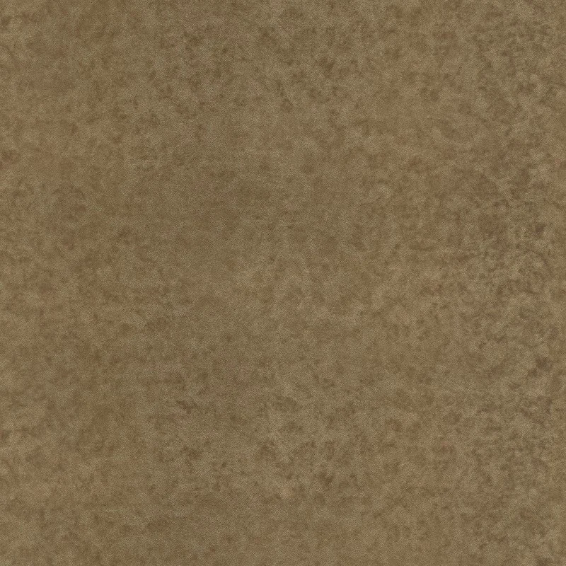 Whakaahua Taiao PS PP PP Filkorative